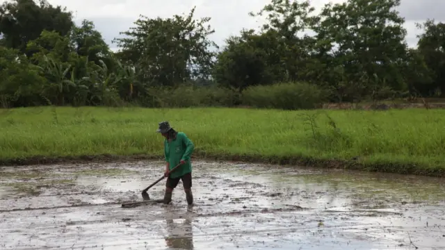 PANUPONG CHANGCHAI/BBC THAI