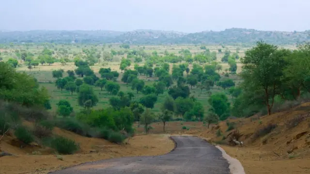 سندھ کا صحرائی علاقہ تھر