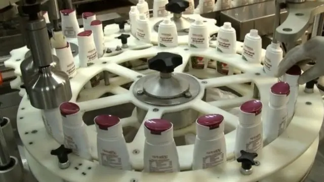 पतंजली उत्पादनं