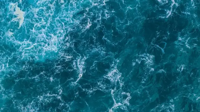 비행기에 들어가는 기술이 언젠가는 바다를 '투명한' 공간으로 만들 수 있을까? 현재로서는 먼 미래의 일이다