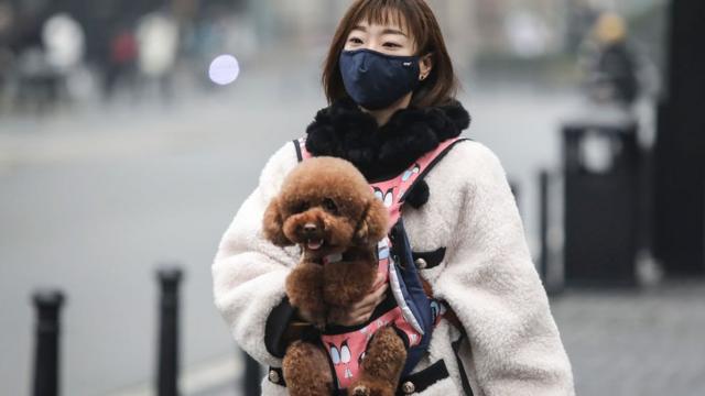 Mulher usa máscara enquanto leva cachorro para passear em Wuhan, na China