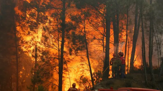 Incêndioreal bet bonus de cadastroPortugal