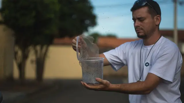 Biólogo no Brasil libera mosquitos para combater surto7x betnetZika