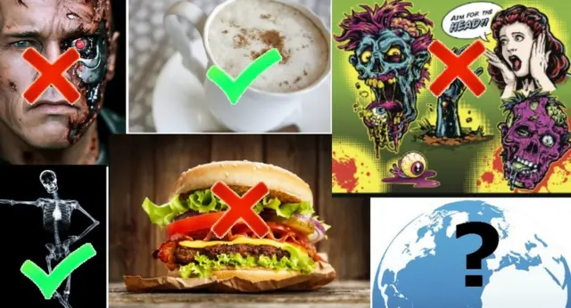 Una foto que combina las preferencias de la Reina de los robots mierdosos, incluidos Terminator, café latte, películas de terror, hamburguesas, visión de rayos X