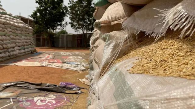 Dalar Shinkafa a Abuja