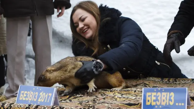 Безвиз