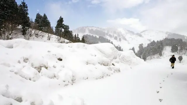 （图片来源：Lance Henderstein）