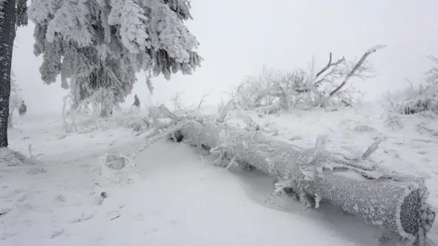 جرمني کې فیلډبیرج غر