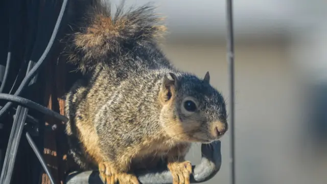 ஆந்திரா விபத்து