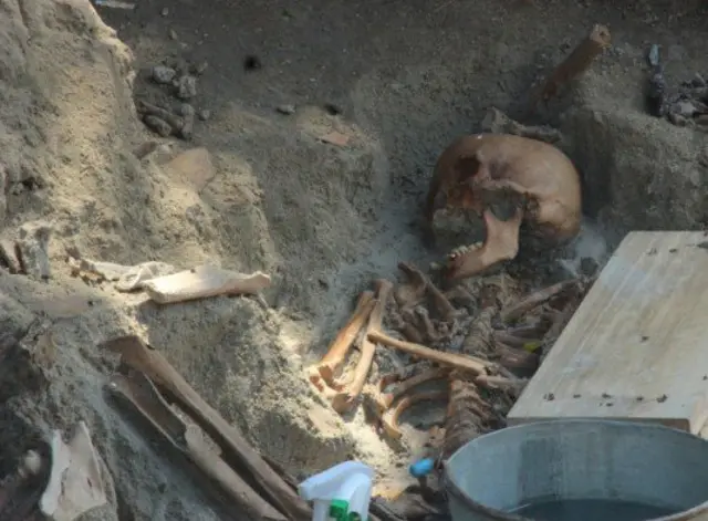 මන්නාරම සමූහ මිනී වළේ කාල නීර්ණය ගැන අර්බුදයක්