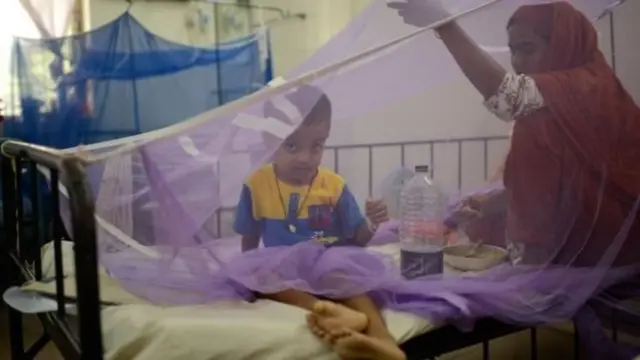 হাসপাতালে ডেঙ্গু রোগীদের ভিড়।