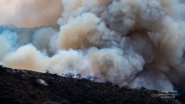Un bosque se incendia en Córdoba