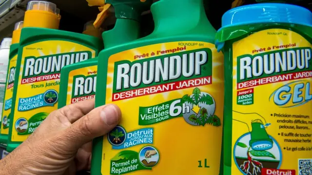 ราวด์อัพ