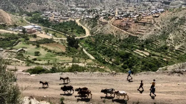 ኢሮብ ዳውሃን