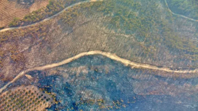 дорога в Турции