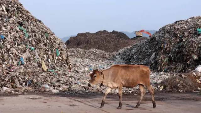 प्लॅस्टिक