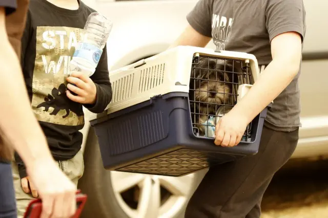 ক্যান রিভার শহরের বাসিন্দাদের ইস্ট গিপসল্যান্ডের অরবস্টে সরিয়ে নেওয়া হয়।