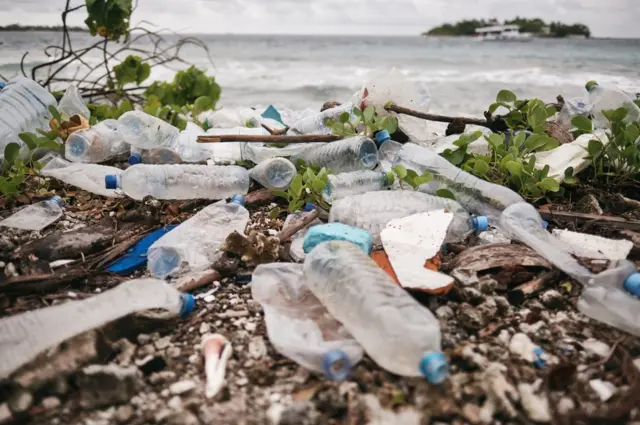 Les déchets plastiques peuvent mettre des années avant que la nature ne parvienne à les décomposer. Ils mettent en danger la flore et la faune.