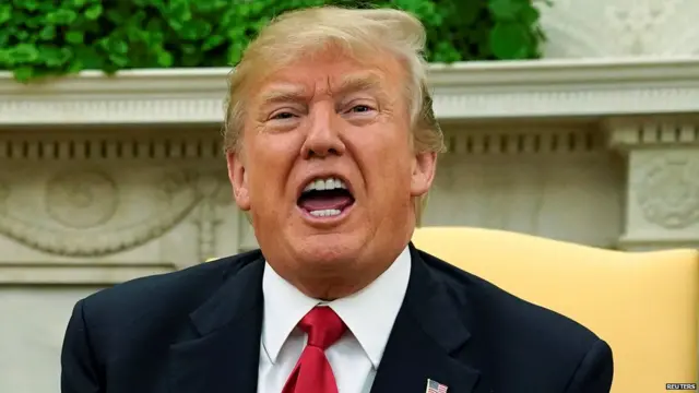 व्हाईट हाऊसने ट्रंप यांचं कथित वक्तव्य नाकारलं नाही.