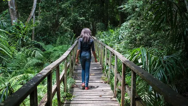 Lady wey dey waka on top di wooden bridge for Lekki Conservation Centre.