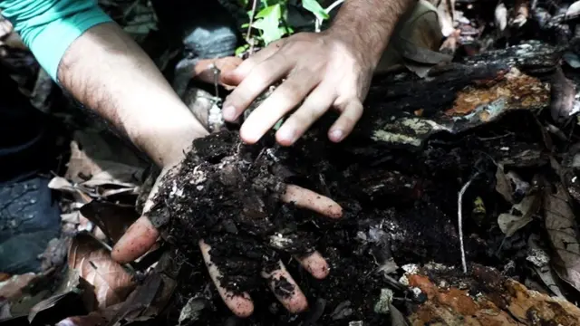 Mão segurando terra