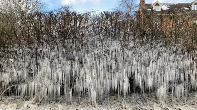 سياج من الجليد