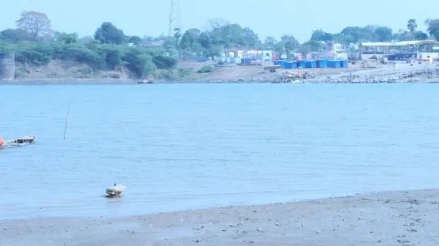 ప్రాణహిత