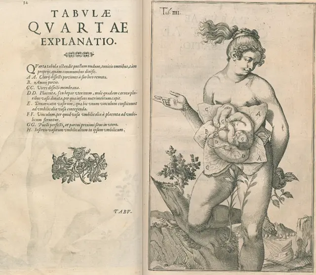Ilustración de "De formato foetu liber singularis"