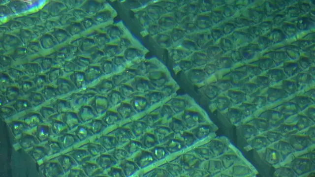 福岛第一核电站四号机组的旧燃料棒池（资料图片）