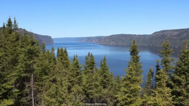 Thay vì ở lại thành phố song ngữ Montréal, McKenna đã đi sâu hơn vào Québec nơi hầu hết mọi người chỉ nói một ngôn ngữ