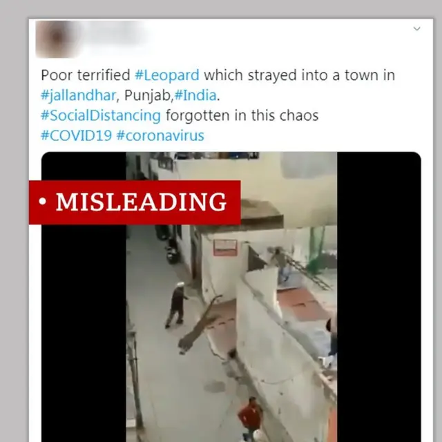 कोरोना, फॅक्ट चेक