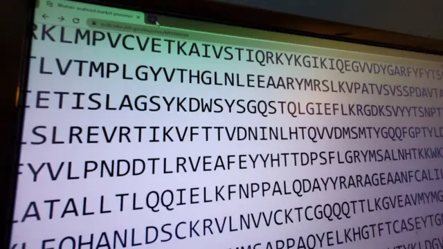 Una pantalla muestra una parte de la secuencia del genoma del coronavirus