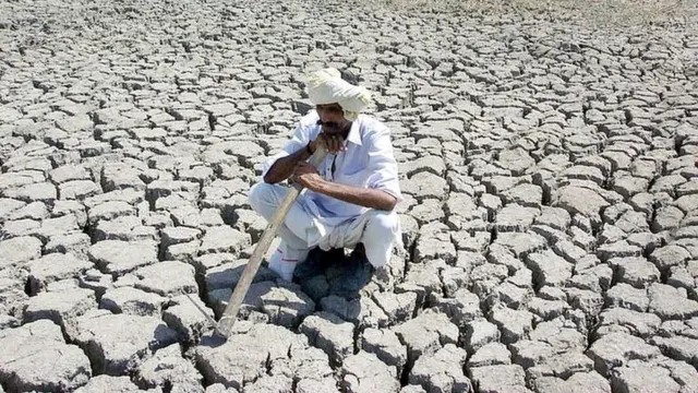 પ્રતીકાત્મક તસવીર