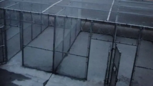 निक यारिस का जेल