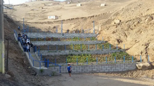 Vista de las plantas en las gradas hacia el parque central de Eliseo Collazos