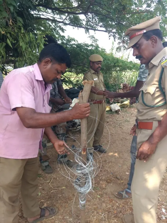 மனித - யானை மோதல்கள்