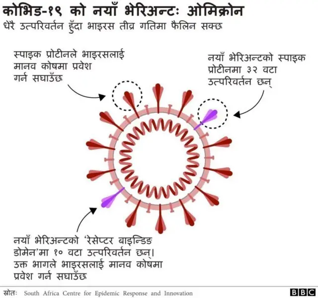 कोभिड