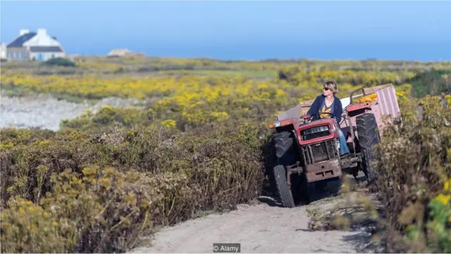 Fransada baş tutan araşdırmalar da daxil olmaqla bəzi tədqiqatlar göstərib ki, fermerlər digər peşə sahiblərindən daha sağlam olurlar