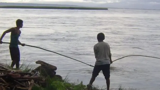 कोशी नदी