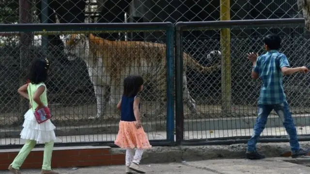 کراچی چڑیا گھر