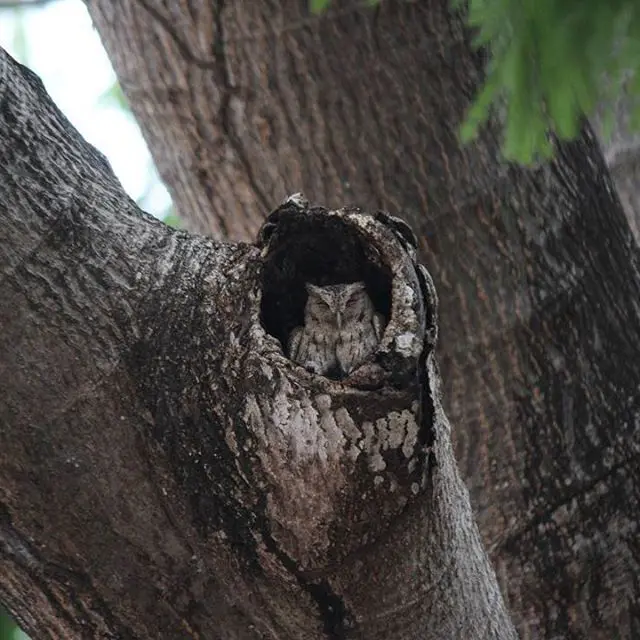 Foto de Guillermo Martínez