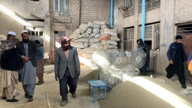زیره