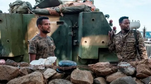 ፍሉይ ሓይሊ ክልል ኣምሓራ