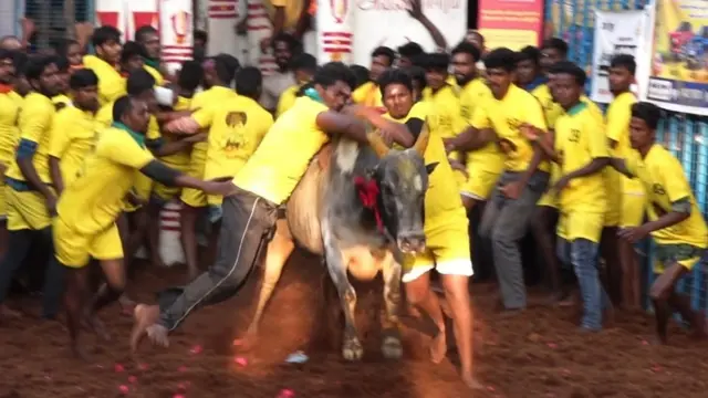 அடங்க மறுக்கும் காளை, அடக்க முனையும் இளைஞர் படை