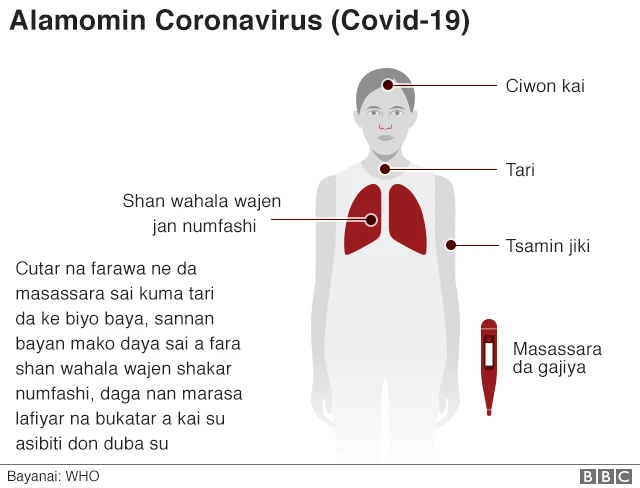 coronavirus