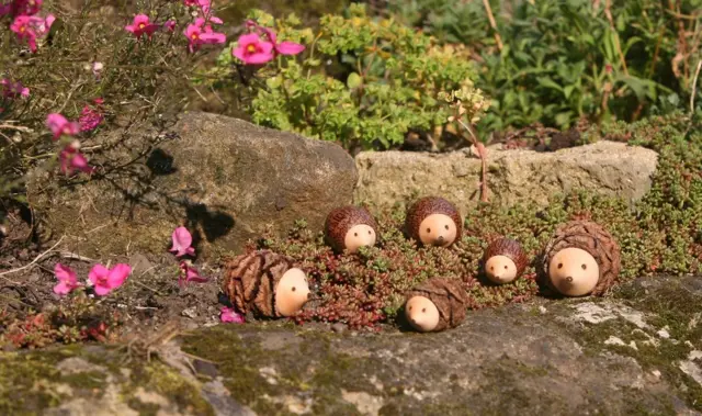 Erizos de madera en el jardín.
