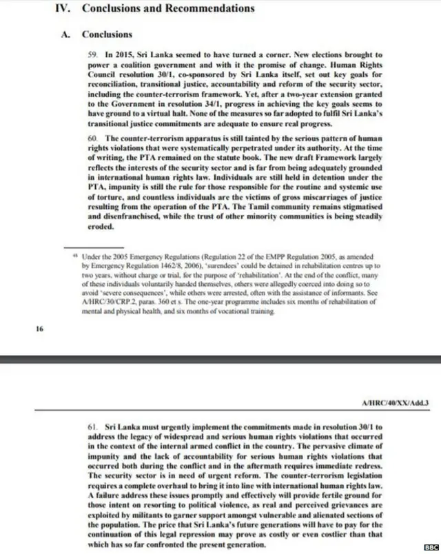 වාර්තාවේ නිගමන