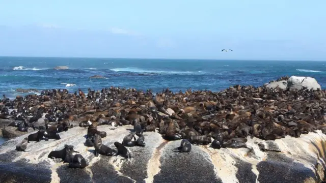 Т. Сарлыкбек уулу: Тапкан каражатымдын 50% дан көбүрөөгү саякатка кетет. Бирок, албетте, саякатты кымбат нерсе деп деле элестетпеш керек