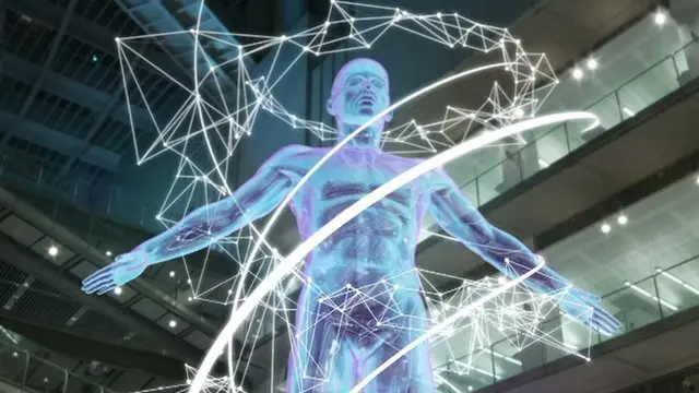 Image of the human body