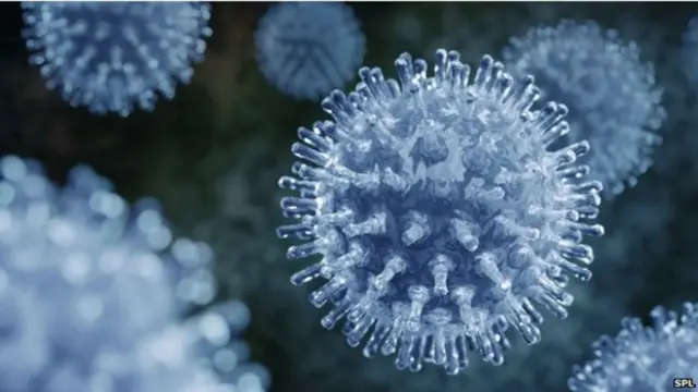 વાઇરસની પ્રતિકાત્મક તસવીર